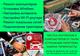 Настройка роутеров, Smart TV, Windows, RG45, помощь с компьютером в Красноярске